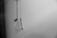 /album/remember/img-3883-jpg/