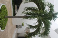/album/remember/img-6754-jpg/